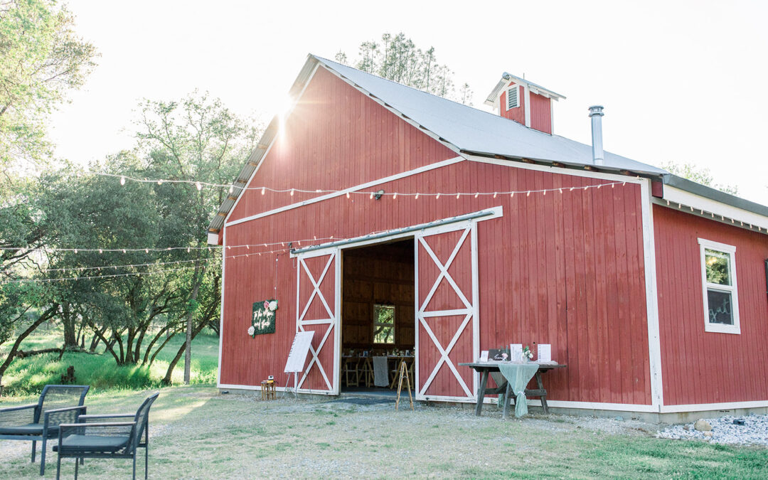 Celebrating Love Year-Round At Vida Buena Farm