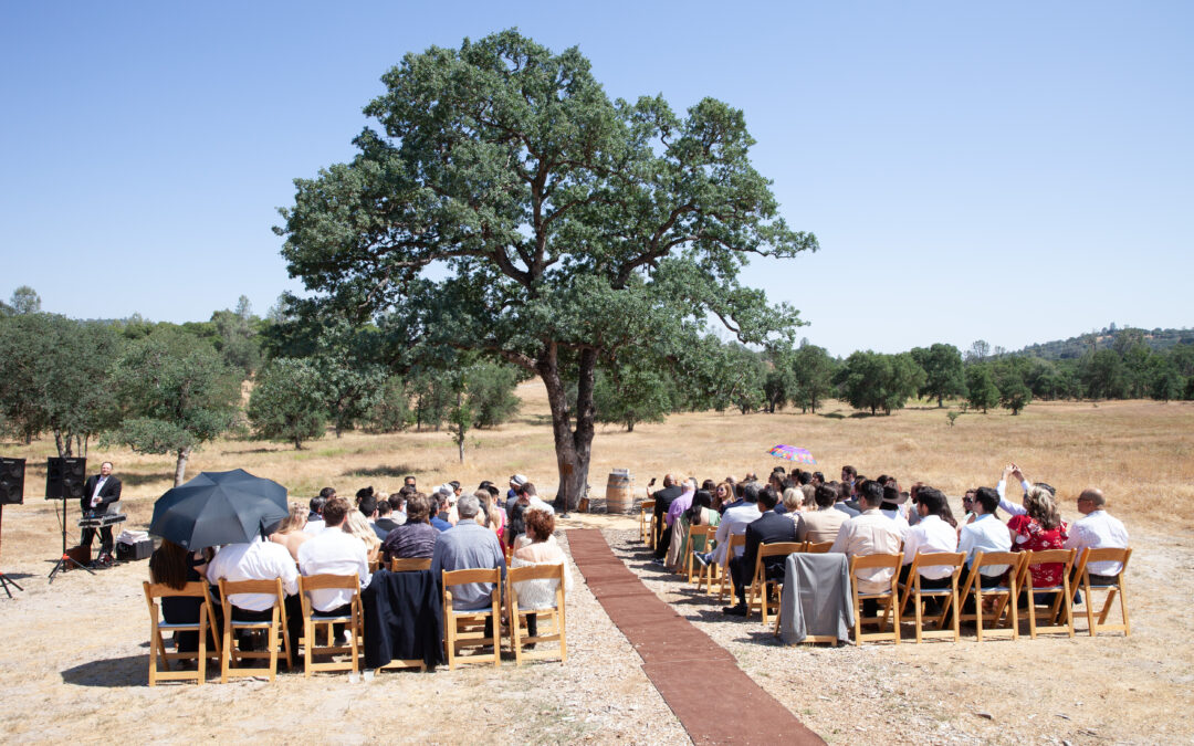 Vida Buena Farm - Photography by Sunshine Photography