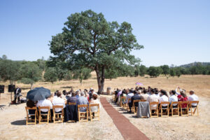 Vida Buena Farm - Photography by Sunshine Photography
