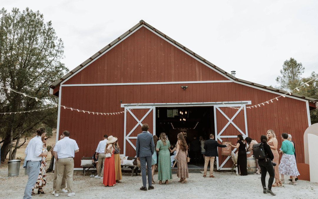 Photography by Oh Lovely Wedding
