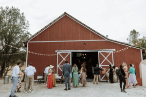 Photography by Oh Lovely Wedding