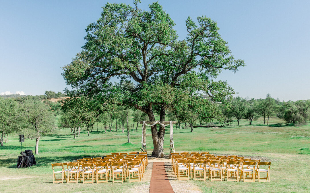 Vida Buena Farm