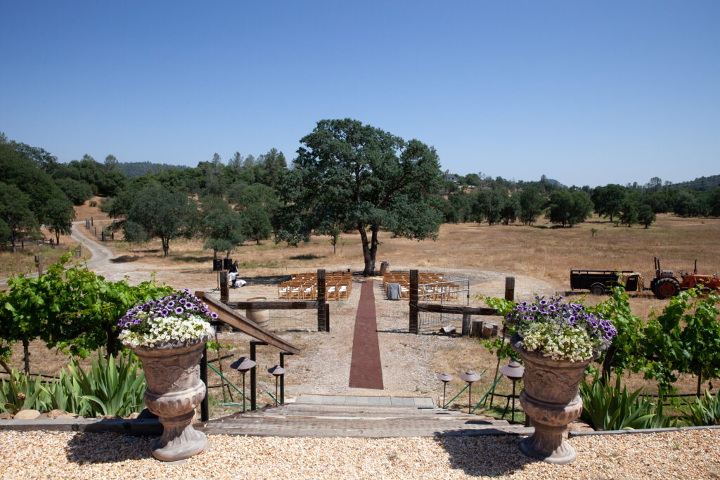 Weddings At Vida Buena Farm